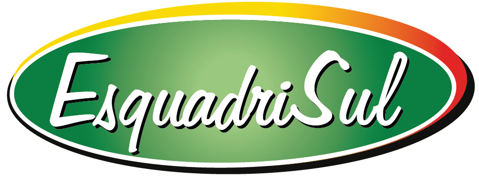 Logo da Esquadrisul